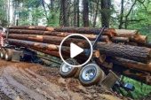 Big Size Wood Log Truck Driving