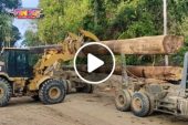 Logging Truck Wood Operator Skills