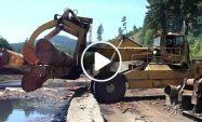 Dangerous Fastest Excavator Chainsaw Cutting Tree Machines, Modern Woodworking Wood Sawmill Machines