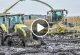Mudding with John Deere tractors | chopping corn in mud | Claas Jaguar