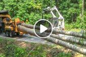 World’s Longest & Biggest Whole Tree Chipping Machines