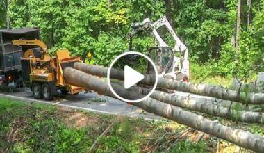 World’s Longest & Biggest Whole Tree Chipping Machines, Dangerous Wood Chipper Shredder Working