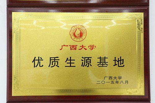 开设了包括美术