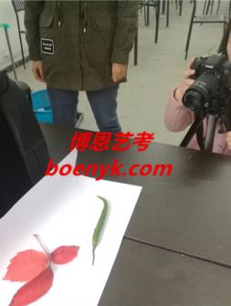 艺考摄影可以在...