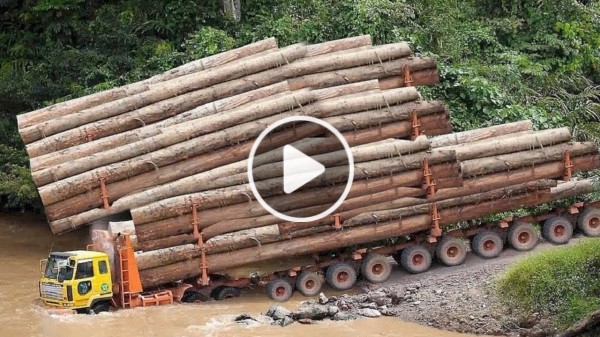 Dangerous Fastest Logging Wood Truck Operator Road Climbing, Extreme Truck Heavy Equipment Skills