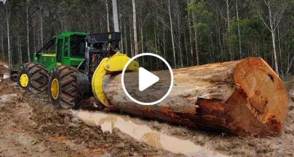 Tractor Stuck in Deep Mud Log tractor Pulling Tree Log