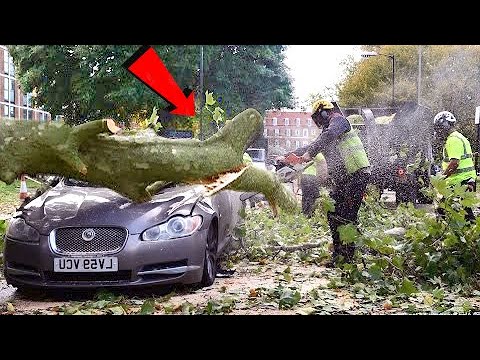 Tree Cutting Fails & Idiots Working With Chainsaw ! Extremely Dangerous skills Tree Falling