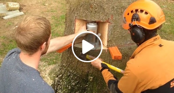 Awesome Timber Technique
