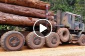 Heavy Log Truck Operator Fails and Wins While Climbing Slippery Mountain