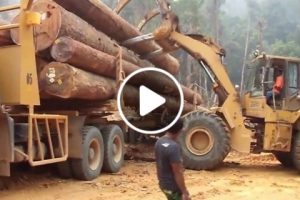 Truck Logging