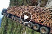 Extreme monster wood truck development skills, loading truck climbs heavy equipment