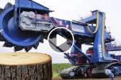 Modern Woodworking Wood Sawmill Machines