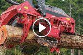 “Incredible Fastest Wood Cutting Machine Working