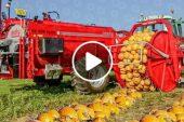 How Are 100 Million Tons of Pumpkin Harvested? | Agriculture Technology