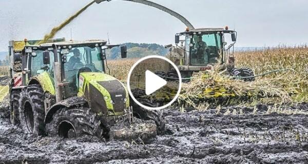 Mudding with John Deere tractors | chopping corn in mud | Claas Jaguar