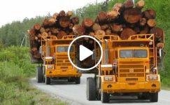 Dangerous fastest loggin wood truck