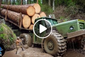 50 EXTREME Dangerous Biggest Wood Logging Truck Operator Skill Working At Another Level