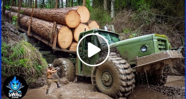 50 EXTREME Dangerous Biggest Wood Logging Truck Operator Skill Working At Another Level